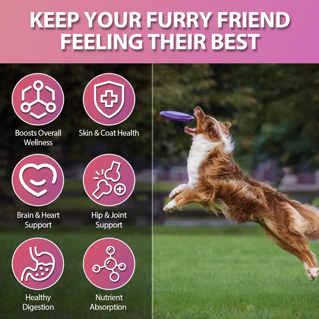 Dog Vitamins, 24 in 1 Dog Vitamins and Supplements 200 Chews with Glucosamine Probiotics Omega-3 Dog Multivitamins Chewable for Hip & Joint, Skin & Coat, Immune Health, Digestive (Chicken) 5