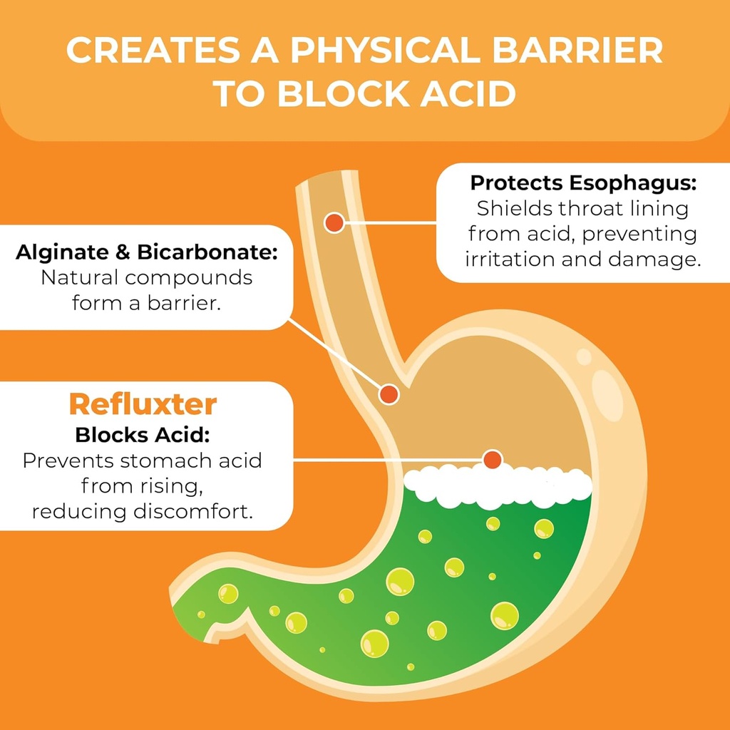 Refluxter Sodium Alginate Capsules – Natural Acid Reflux & GERD Relief Supplement. Supports LPR, Silent Reflux, Heartburn, Indigestion. Alginate Therapy. Alginato de sodio. 60 Vegan Capsules 4