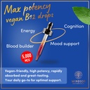 Vegan Vitamin B12 Liquid - Max Strength Methylcobalamin B12 Sublingual 5000 mcg - Fast Absorbing Supplement for Mood, Memory and Energy Support - Non-GMO, Gluten-Free, Citrus Flavor B 12 Drops, 2oz 3