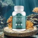 TrueSeaMoss Irish Sea Moss Capsules - 120 Original Capsules (1600mg) - Prebiotic Superfood - Boosts The Immune & Digestive System - Healthy Skin, Keto Detox, Gut, Joint Support 4