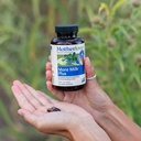 Motherlove More Milk Plus (60 Liquid caps 2 Pack) Fenugreek-Based Lactation Supplement to Support Breast Milk Supply—Non-GMO, Organic Herbs, Vegan, Kosher 6