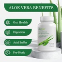 AloeCure Organic Aloe Vera Capsules Pack - 3 Pieces - Melatonin + Collagen, Aloe Vera Capsules, Probiotic + Enzyme 3