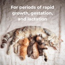 PetAg Calcium Phosphorus Tablets - 50 Tablets - Daily-Use, Chewable Supplement for Dogs & Cats 12 Weeks and Older - Fortified with Vitamin D 6