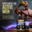 Earth Elixir Fadogia Agrestis Supplement 900mg (180 Capsules) - Made in USA - 3 Month Supply - 3rd Party Tested - Fadogia Agrestis Extract -Max Purity – 100% Pure – Fadogia Agrestis Capsules 5