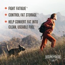 Roundhouse Provision Morning Kick and 3-Hit Combo Essentials Bundle 6