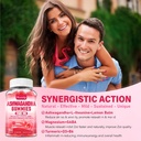 Ashwagandha Gummies 2500mg for Women & Men: Ashwagandha Supplement Gummy Extra Strength with Turmeric, Vitamin D3, L-Theanine, Magnesium - Filled Gummies, Strawberry Flavor, Vegan, Non-GMO 4