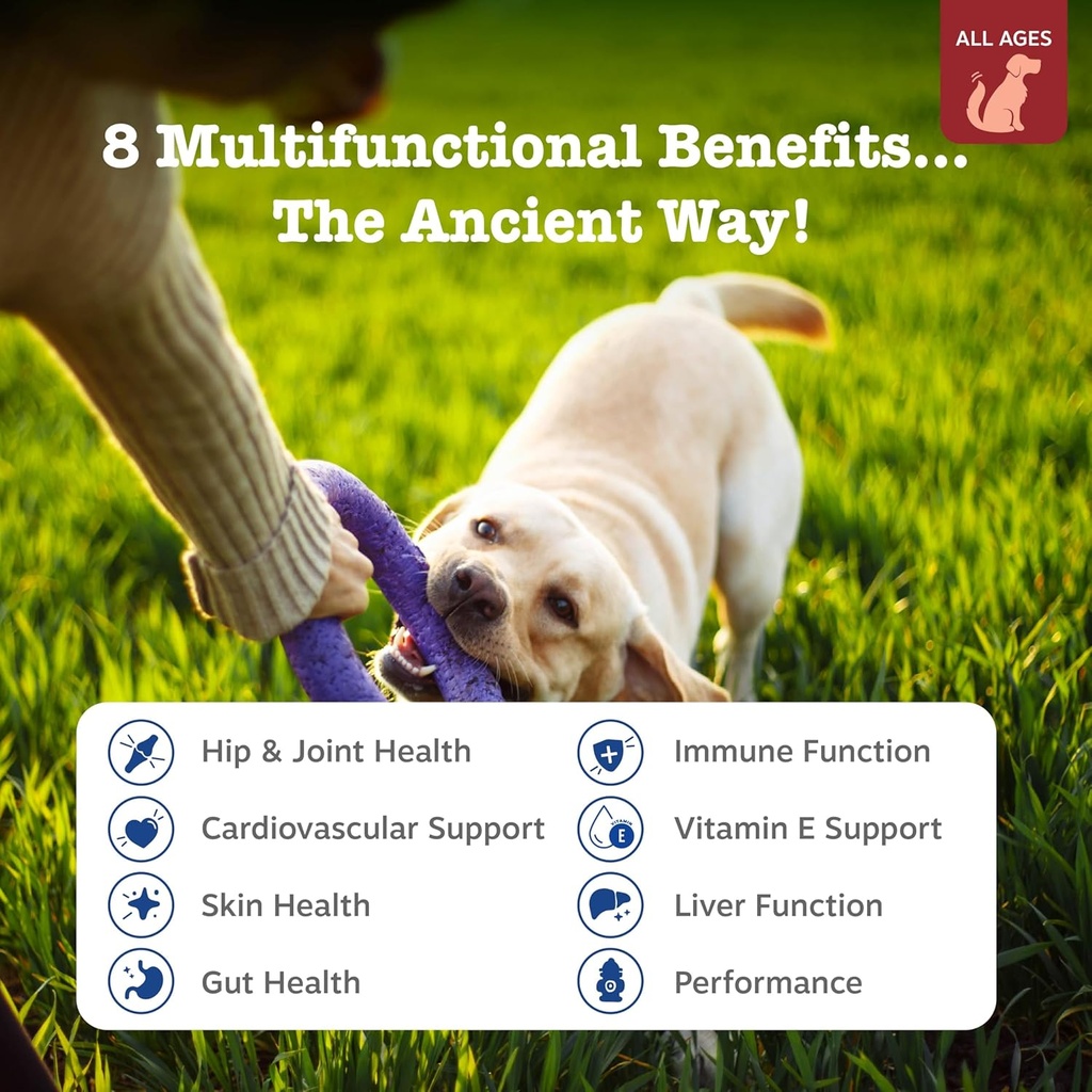 Zesty Paws Dog Multivitamin, Chewable Dog Vitamins and Supplements for Hip & Joints, Skin & Coat, Omega 3 Fish Oil for Dogs- Senior & Puppy Multivitamin - Bison- 90ct 3
