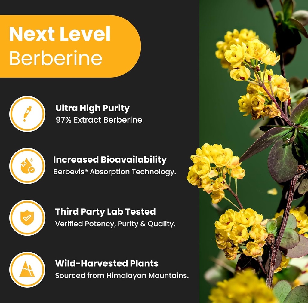 NutraChamps Complete Stress & Metabolic Balance: Rhodiola & Berberine Duo 6