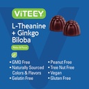 Viteey L-Theanine Gummies with Ginkgo Biloba for Adults - aids in Focus & Relax, Improve Mood - Non GMO, Gelatin Free, Vegan, Gluten Free, Naturally Sourced Chewable Tasty Raspberry Flavored Gummy 6