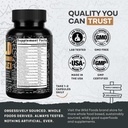 Wild Foods Premium Mushroom Supplement Complex | Mushroom Extract 13 Organic Mushrooms: Lions Mane, Turkey Tail, Reishi & More Adaptogenic Mushrooms for Energy, Brain & Immune Health (Pack of 2) 3