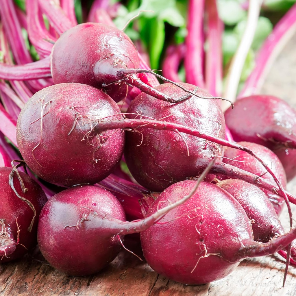 Earthborn Elements Beet Root 200 Capsules, Pure & Undiluted, No Additives 6