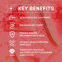 BARE PERFORMANCE NUTRITION BPN Recover & G1M Fruit Punch Bundle 5