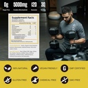 Creatine Monohydrate Gummies, 120 Creatine Sugar Free Gummies with 1000 mg Magnesium Complex and L-Threonate for Men & Women, Energy Support 1 Pack 5