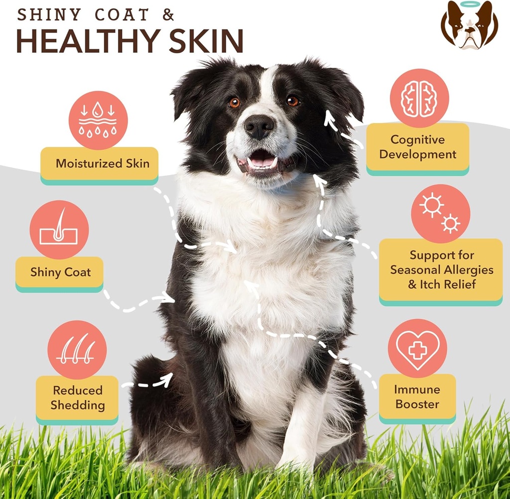Natural Dog Company Skin & Coat Health Bundle with Omega-3, DHA, and Antioxidants for Dogs, Supports Healthy Skin, Shiny Coat, and Overall Wellness Ideal for Dry Skin Relief & Enhancing Dog Coat Shine 6