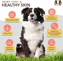 Natural Dog Company Skin & Coat Health Bundle with Omega-3, DHA, and Antioxidants for Dogs, Supports Healthy Skin, Shiny Coat, and Overall Wellness Ideal for Dry Skin Relief & Enhancing Dog Coat Shine 6