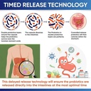 Probiotics 100 Billion CFU – 34 Strains + Organic Prebiotics – Whole Food Formula for Gut Health, Immune Support & Digestive Balance – 60 Day Supply, 120 Softgels 2