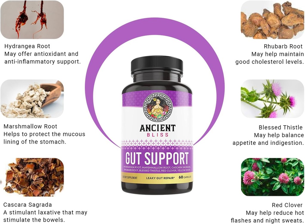 Ancient Bliss Leaky Gut Supplement, L Glutamine Capsules for Gut Support with Blessed Thistle and Hydrangea Root, Vegan and Non-GMO, 60 Capsules 4