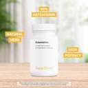 Supersmart - Artemisinin 300 mg Per Day - Artemisia Annua Standardized to 98% Artemisinin - Boost Immune System | Non-GMO & Gluten Free - 60 Vegetarian Capsules 4