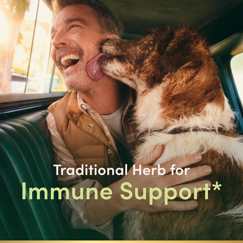 Nature's Bounty Sambucus Elderberry Herbal Supplement, Rapid Release Softgels, 630 mg per Serving, 120 Count 3