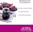 Buried Treasure Elderberry ACF with 4,000 mg Elderberry Sambucus Whole Fruit Concentrate, Vitamin C Plus Raw Local Honey Liquid Immune Support 16 oz 4
