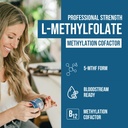L Methyl Folate 1000 mcg Plus Methyl B12 Cofactor – Active 5-MTHF Form - Supports Mood, Methylation, Cognition – Highly Bioavailable Bioactive Forms of Vitamin B9 & B12 (60 Capsules – 60 Servings) 3