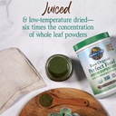 Garden of Life Raw Organic Perfect Food Green Superfood Juiced Greens Powder - Chocolate, 60 Servings, Non-GMO, Gluten Free, Vegan Whole Food Dietary Supplement Plus Probiotics, Enzymes 5