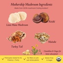 Urban Moonshine Mothership Mushroom - Herbal Supplement for Immune Support - with Lion’s Mane, Maitake, Turkey Tail & Reishi - Certified Organic, Gluten-Free & Vegan - 60 Capsules 5