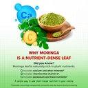 Moringa, Turmeric, Ginger Root, Ceylon Cinnamon, Boswellia - Made in USA 3