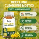 (120 pcs) Mullein Gummies for Lungs Detox– Mullein Leaf Extract with Quercetin, Elderberry for Respiratory & Immune Support, Breathing & Lung Cleanse for Smokers, Vegan, Pineapple Flavor, (2 Pack) 3