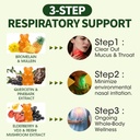 (120 pcs) Mullein Gummies for Lungs Detox– Mullein Leaf Extract with Quercetin, Elderberry for Respiratory & Immune Support, Breathing & Lung Cleanse for Smokers, Vegan, Pineapple Flavor, (2 Pack) 4