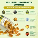 (120 pcs) Mullein Gummies for Lungs Detox– Mullein Leaf Extract with Quercetin, Elderberry for Respiratory & Immune Support, Breathing & Lung Cleanse for Smokers, Vegan, Pineapple Flavor, (2 Pack) 5