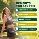 (120 pcs) Mullein Gummies for Lungs Detox– Mullein Leaf Extract with Quercetin, Elderberry for Respiratory & Immune Support, Breathing & Lung Cleanse for Smokers, Vegan, Pineapple Flavor, (2 Pack) 6