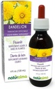 Naturalma Dandelion (Taraxacum officinale) Root and herb Alcohol-Free Tincture - 4 fl oz Liquid Extract in Drops - Herbal Supplement - Vegan 2