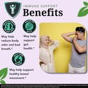 Zenmen Overall Wellness Bundle: Body Odor Supplement and Sweet Wormwood Tincture Bundle 3