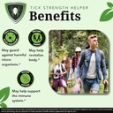 Zenmen Overall Wellness Bundle: Body Odor Supplement and Sweet Wormwood Tincture Bundle 6