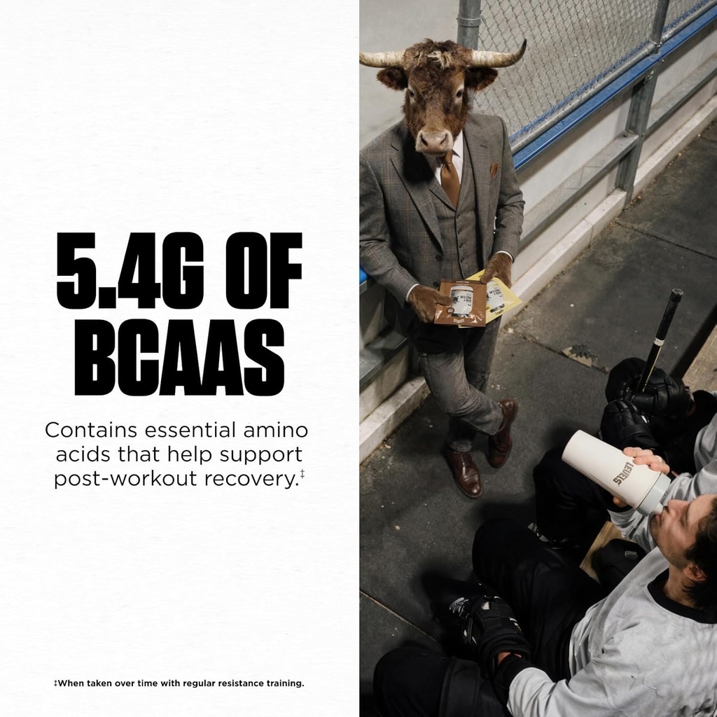 Levels Grass Fed Whey Protein Powder, No Artificials, 24G of Protein, Double Chocolate, 2LB 6