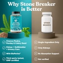 Chanca Piedra Stone Breaker 3-Pack Bundle – Natural Dissolver, Kidney Cleanse & Gallbladder Supplement – Detoxify Urinary Tract, Flush Impurities, Clear System – 180 Capsules 5