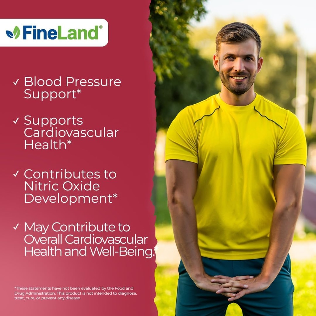 FineLand Beet Root Capsules | Blood Pressure Support 10,000mg Equivalent per Serving | 20:1 Extract,120 Vegan Capsules – Immune System, Circulation & Heart Health – Non GMO, Made in USA 3