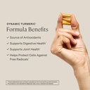 Stonehenge Health Dynamic Turmeric, Dynamic Biotics Probiotic: Joints and Digestion Support Bundle 3