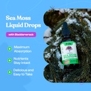 PELLA NUTRITION Sea Moss Organic Liquid Drops | Drops of Nature Green Tea Extract | Bundle 3