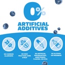 Genexa Clean Cold & Flu Daytime + Nighttime Severe Relief, Dye Free, 0% Artificial Additives, Acetaminophen Fever Reducer, Cough Suppressant, Antihistamine, Organic Blueberry Flavor, 12 fl oz (2 pack) 4