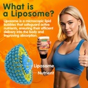 Liposomal L-lysine Gummies 1200mg, Lysine Chewable Supplement with Vitamin C, D3, B12 & Zinc for Adults & Kids, Immune & Collagen Support, Lips & Skin Health, Vegan, Natural Fruit Flavor, 60CT 5