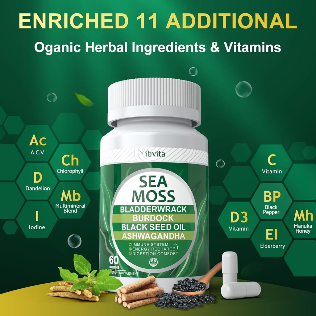 Sea Moss Black Seed Oil Capsules - Supplements with Seamoss, Ashwagandha, Burdock Root, Ginger & Multimineral for Immune & Digestive Support, Improve Energy for Men & Women - 60 Capsules 4