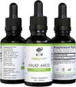 PAU D’arco Extract - Organic Liquid Tincture Drops - Alcohol-Free - for Immune Support & Gut Health, Herbal Supplement Drops, Vegan, 1oz by Ziggy Health 2