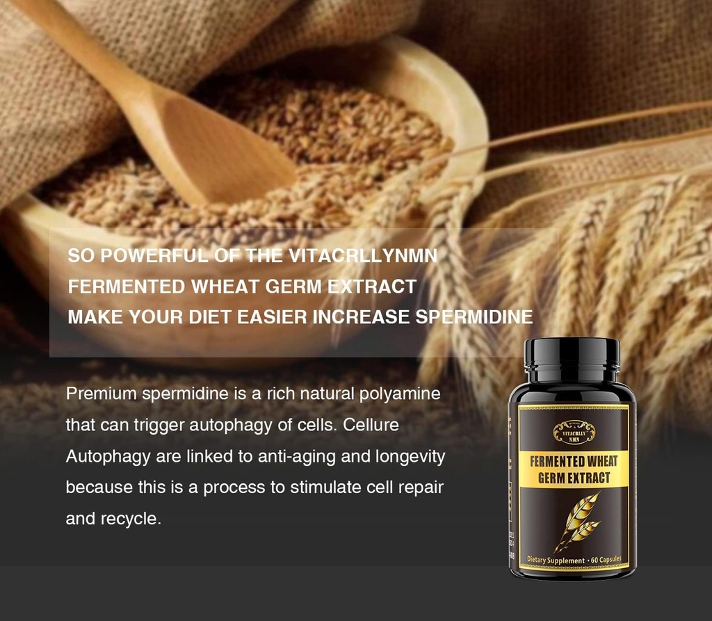 1000MG Spermidine Supplements Fermented Wheat Germ Extract Capsule with 10MG Higher Spermidine & Zinc for Antioxidant, Cell Renewal, Immune System and Increases Energy 60 Capsules (1 Bottle) 6