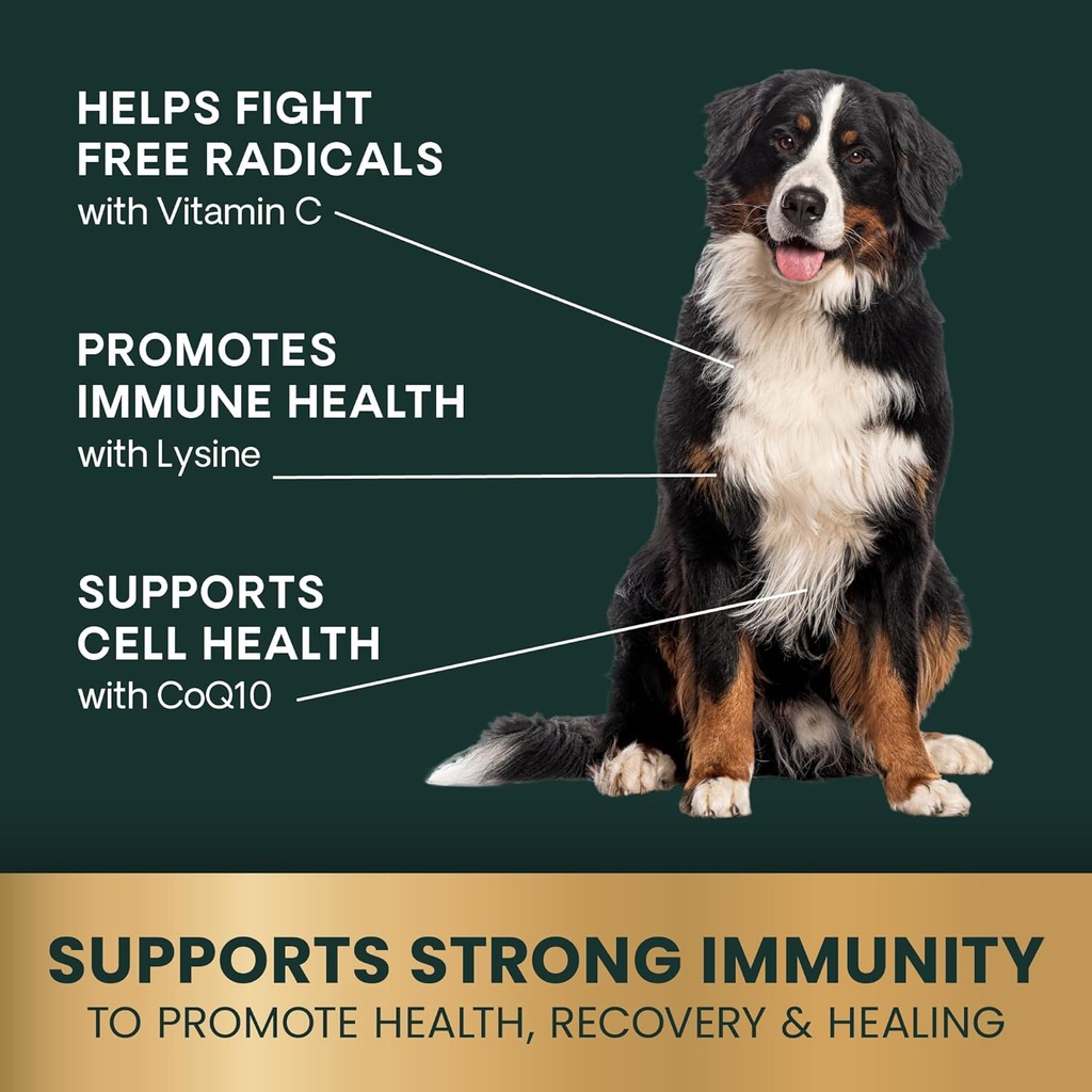VetriScience Immunity Health Easy-Open Capsules, Immune Plus Supplement for Medium and Large Breed Dogs, Cell Advance Immune and Allergy Support with Antioxidants, Hypoallergenic Formula, 120 Count 4