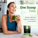 Super Greens Daily Greens Superfood Powder - Certified USDA Organic Green Powder w/20+ Whole Foods, Spirulina Powder, Wheat & Barley Grass - Probiotics, Fiber & Enzymes - Original Refill, 30 Servings 3