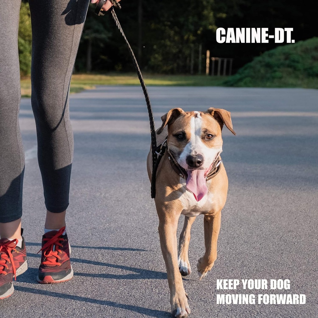 Amber NaturalZ Canine DT Herbal Supplement for Dogs | Canine Supplement for Muscle, Nose, Paw Pad, Nerve, and Neurological Support | 1 Fluid Ounce Glass Bottle 6