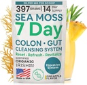 Atlantic Naturals Sea Moss 7-Day Colon & Gut Purification - Golden Flax Seeds, Psyllium Husk, Senna Powder, for Women & Men - Pineapple Flavor Drink Mix (14 oz) 2