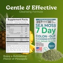 Atlantic Naturals Sea Moss 7-Day Colon & Gut Purification - Golden Flax Seeds, Psyllium Husk, Senna Powder, for Women & Men - Pineapple Flavor Drink Mix (14 oz) 4